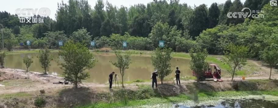 1751158452336892.jpg 3.jpg